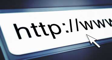 Ecommerce Website Development - Domain Name Registration